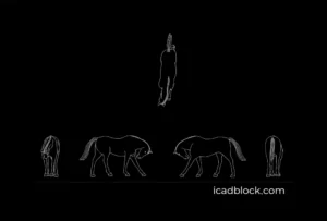 Horse in plan and elevation