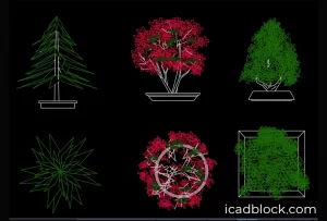 Bonsai DWG free download , in plan and elevation