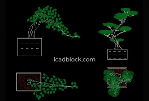 Bonsai plants in AutoCAD, plan and elevation