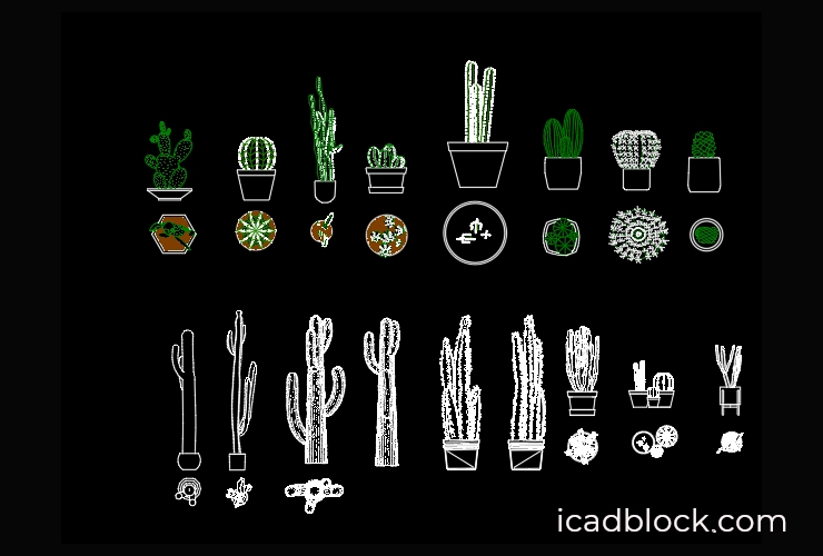 Cactus CAD Block in DWG