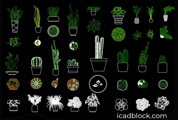 Indoor plants CAD Blocks