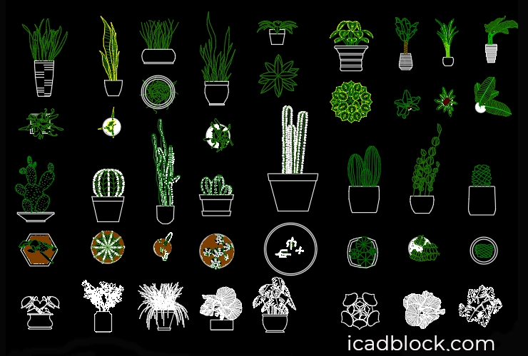 indoor plants cad blocks top view        <h3 class=