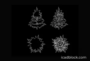 Pine tree in plan and elevation