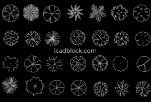 Pinos en plano Colección DWG