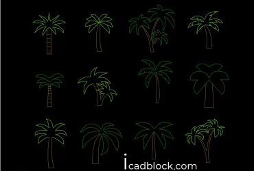 Palm Tree in elevation free