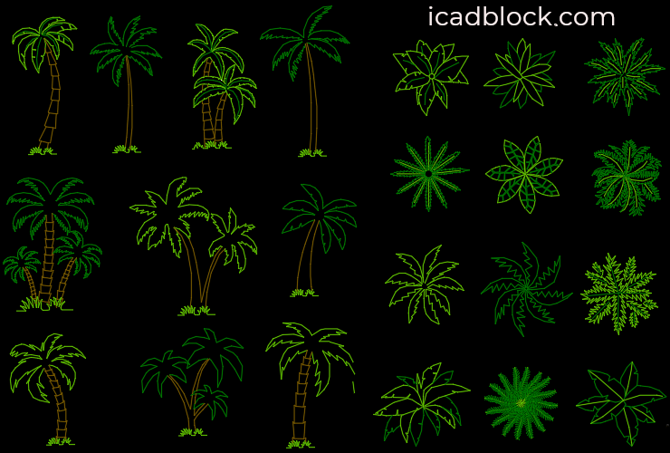 Palm Tree CAD Block