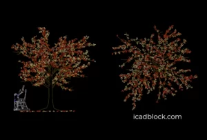 Autumn tree DWG