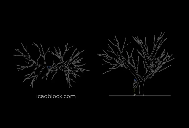 Winter tree DWG