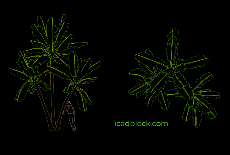 Banana tree in AutoCAD