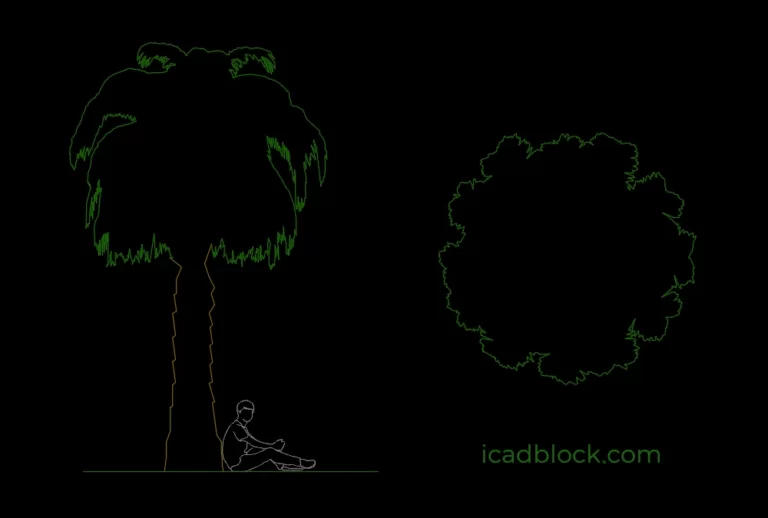 Date palm tree CAD Block