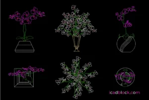 Orchid flowers DWG CAD Blocks