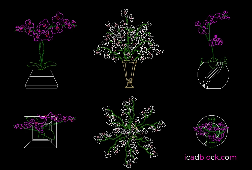 Orchid flowers DWG CAD Blocks