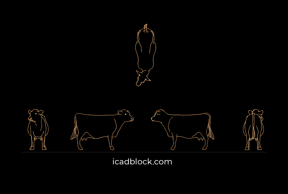 Cow AutoCAD drawing free download
