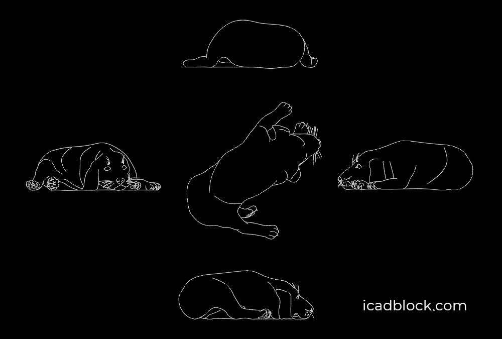 Dog sleeping in Lion’s pose CAD Block