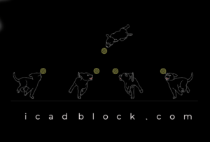 Dog playing with ball DWG