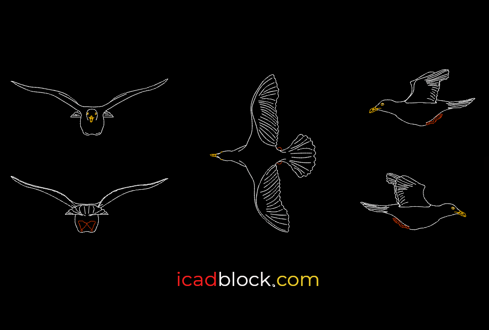 Gull CAD Block
