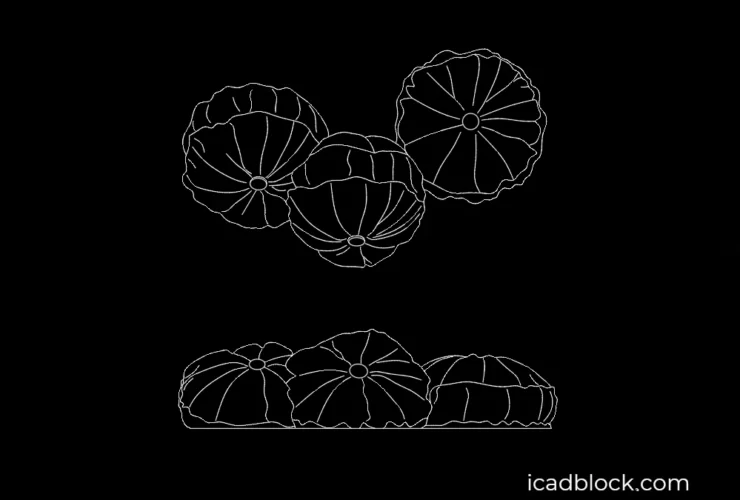 Round pillow in AutoCAD
