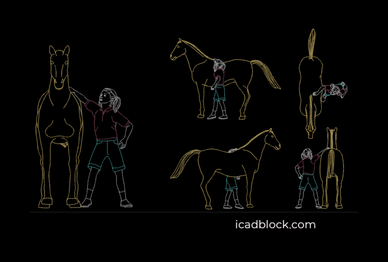 Woman petting a horse DWG