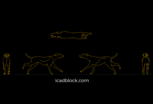 Dog running DWG model in plan and elevation