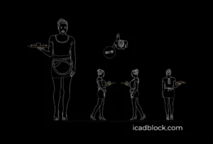 Waitress carrying tray with drinks in DWG