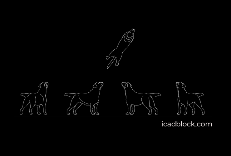 Dog looking at sky 2D AutoCAD drawing